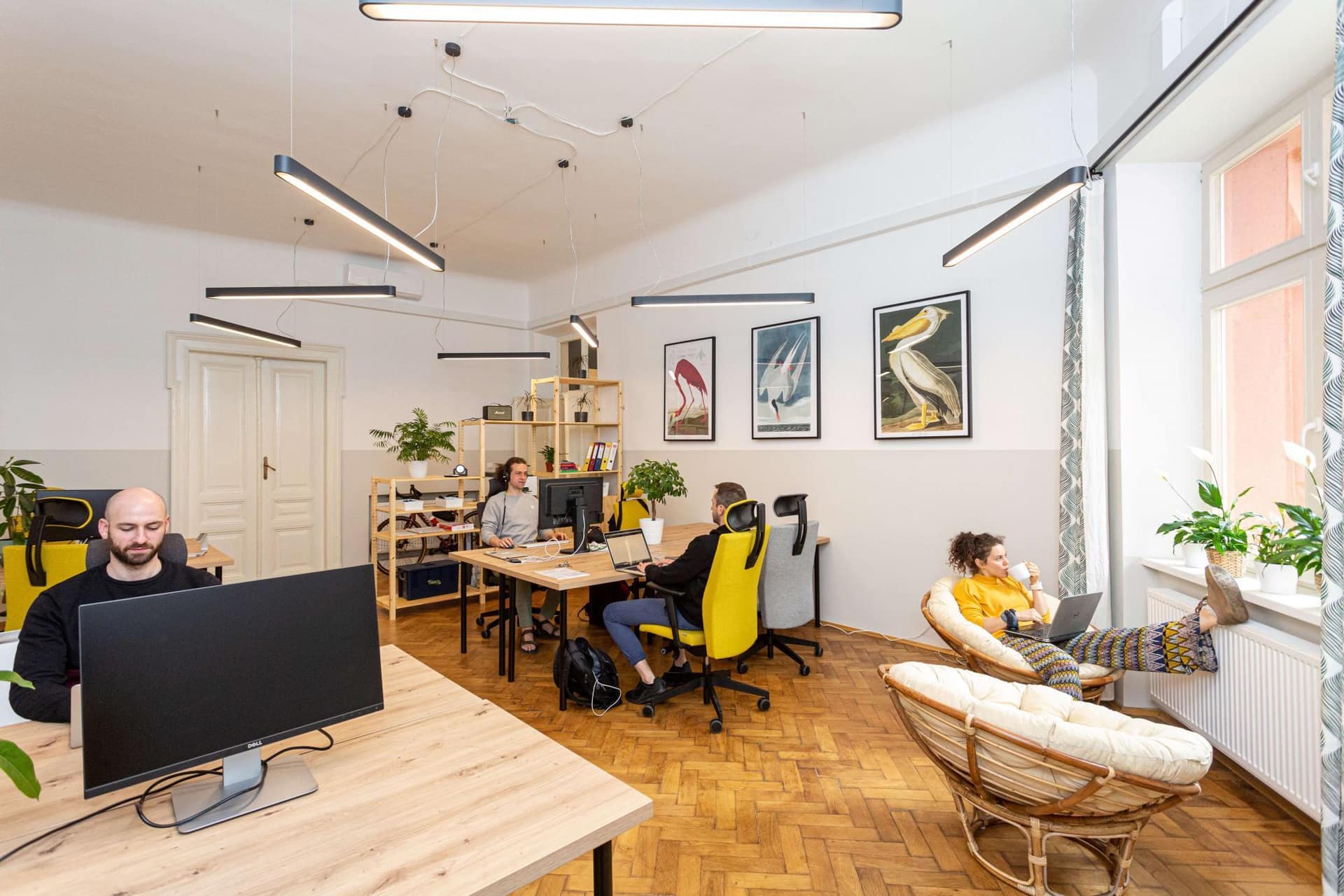 Biura Kalafiornia Coworking & Offices