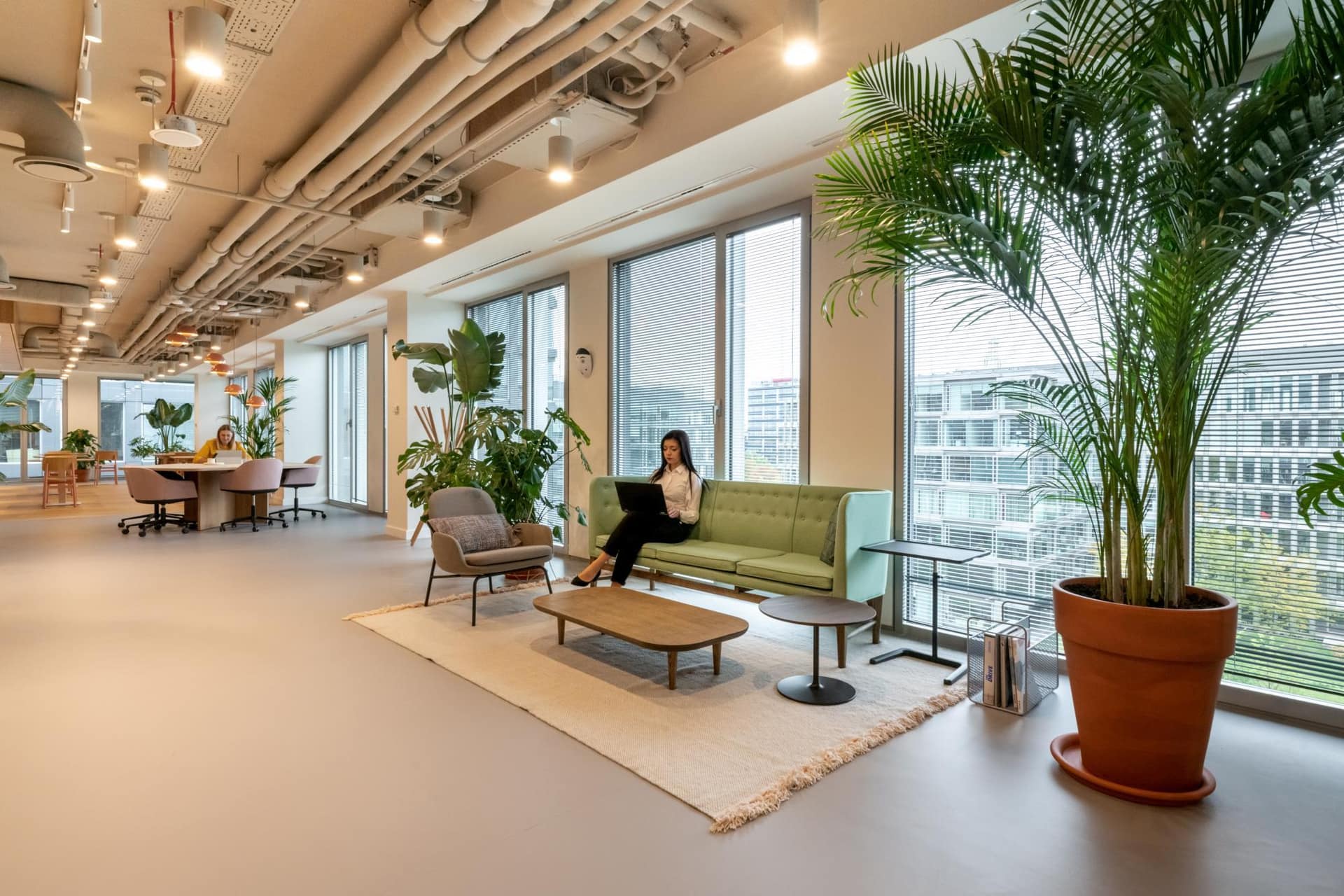 Biura Spaces Wave